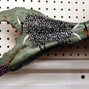 hairy amoeba