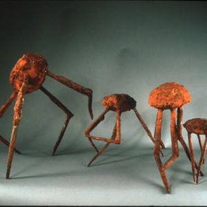 ticks