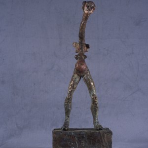 bronzelongneck