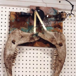 cowjaw